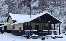 Bears House